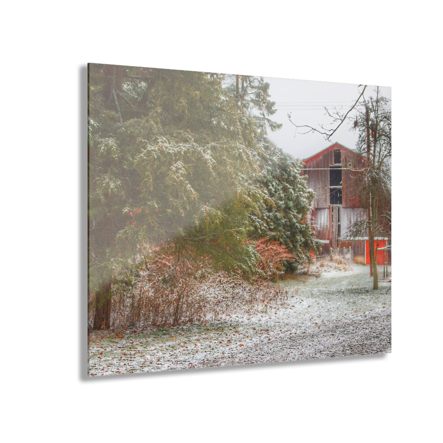 U R There Photography Lum Hidden Red Rustic Farmhouse Acrylic Wall Print