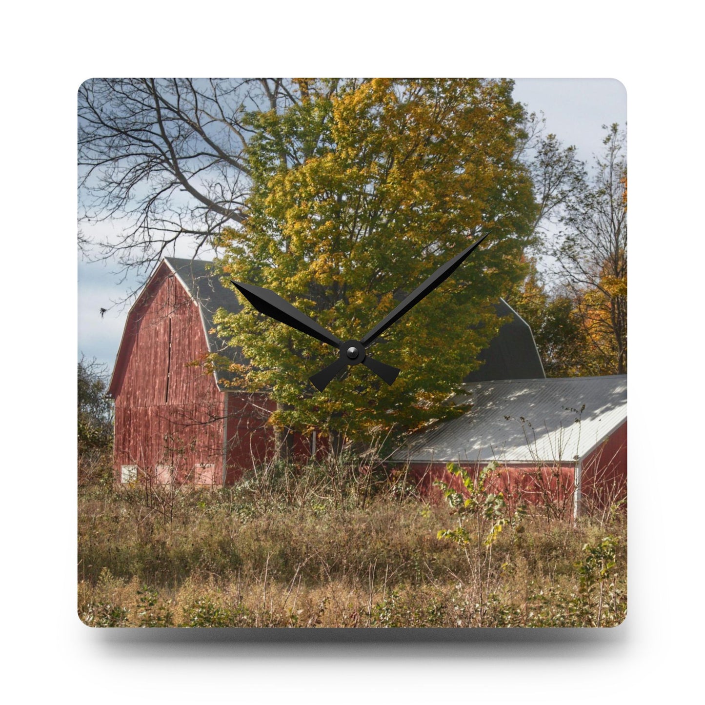 U R There Photography Bowers Road Red I Rustic Farmhouse Acrylic Analog Wall Clock
