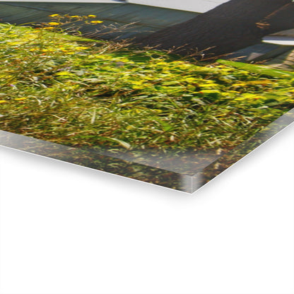 U R There Photography Hough Road Greys Rustic Farmhouse Acrylic Wall Print