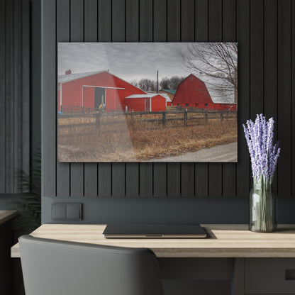 U R There Photography January Reds Rustic Farmhouse Acrylic Wall Print