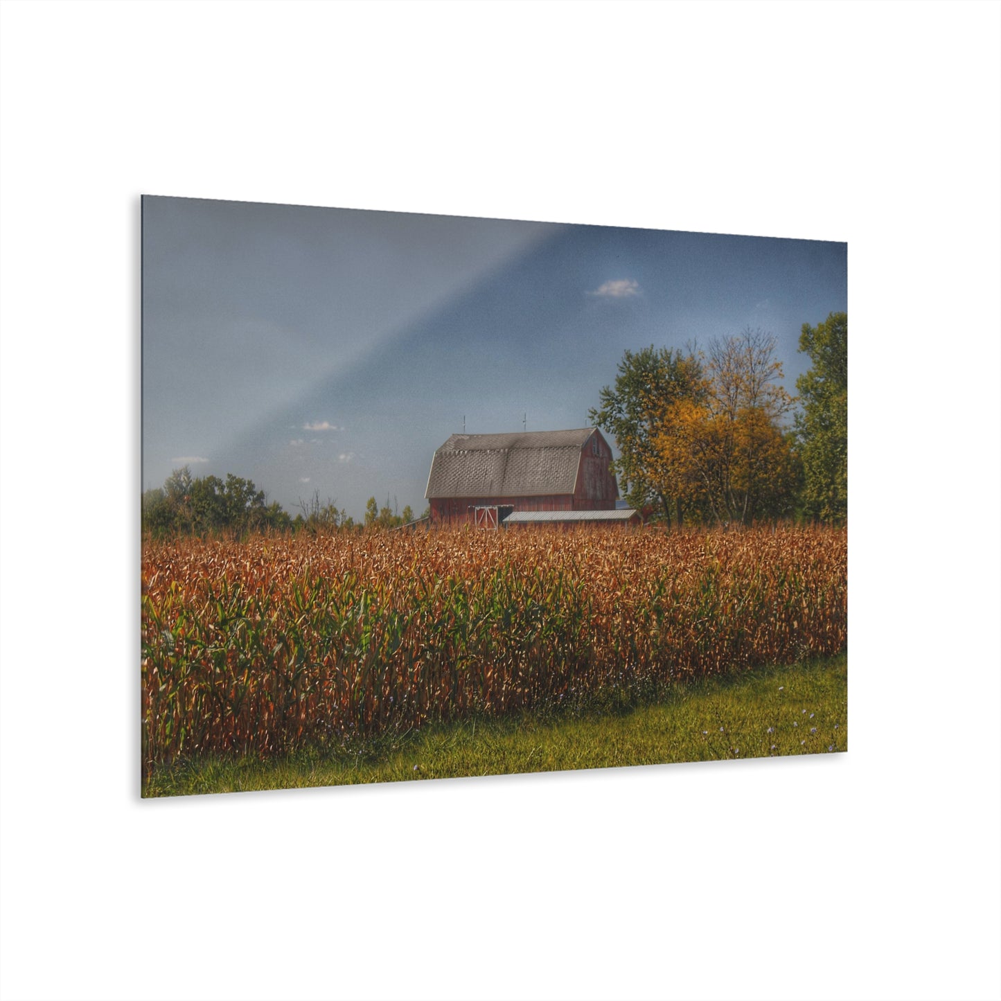 U R There Photography Clifford Road Red III Rustic Farmhouse Acrylic Wall Print