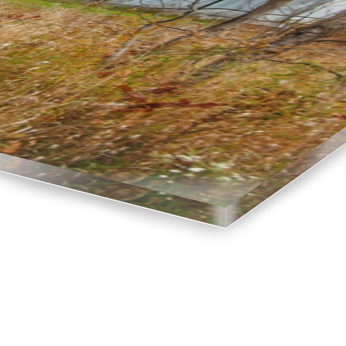 U R There Photography Hill Road Roadside Grey II Rustic Farmhouse Acrylic Wall Print