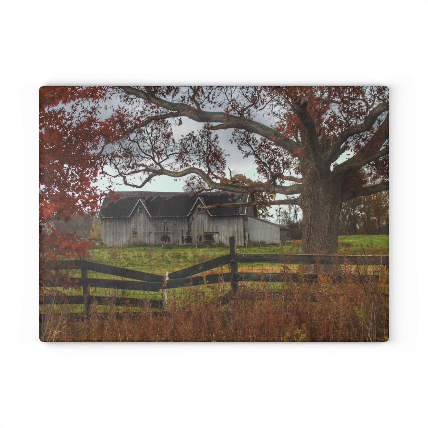 U R There Photography Green Road Grey Beyond the Oak Rustic Farmhouse Tempered-Glass Cutting Board