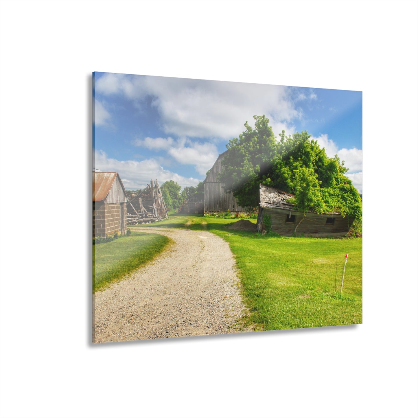 U R There Photography Brown City Road Barn and Buddy II Rustic Farmhouse Acrylic Wall Print