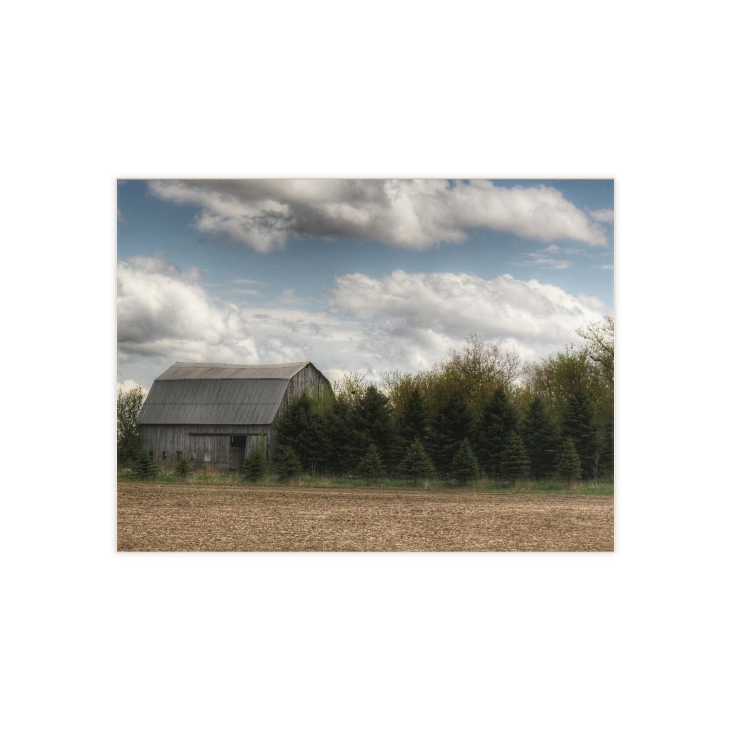 U R There Photography Sandusky Grey in the Pines Rustic Farmhouse Decorative Ceramic Tile