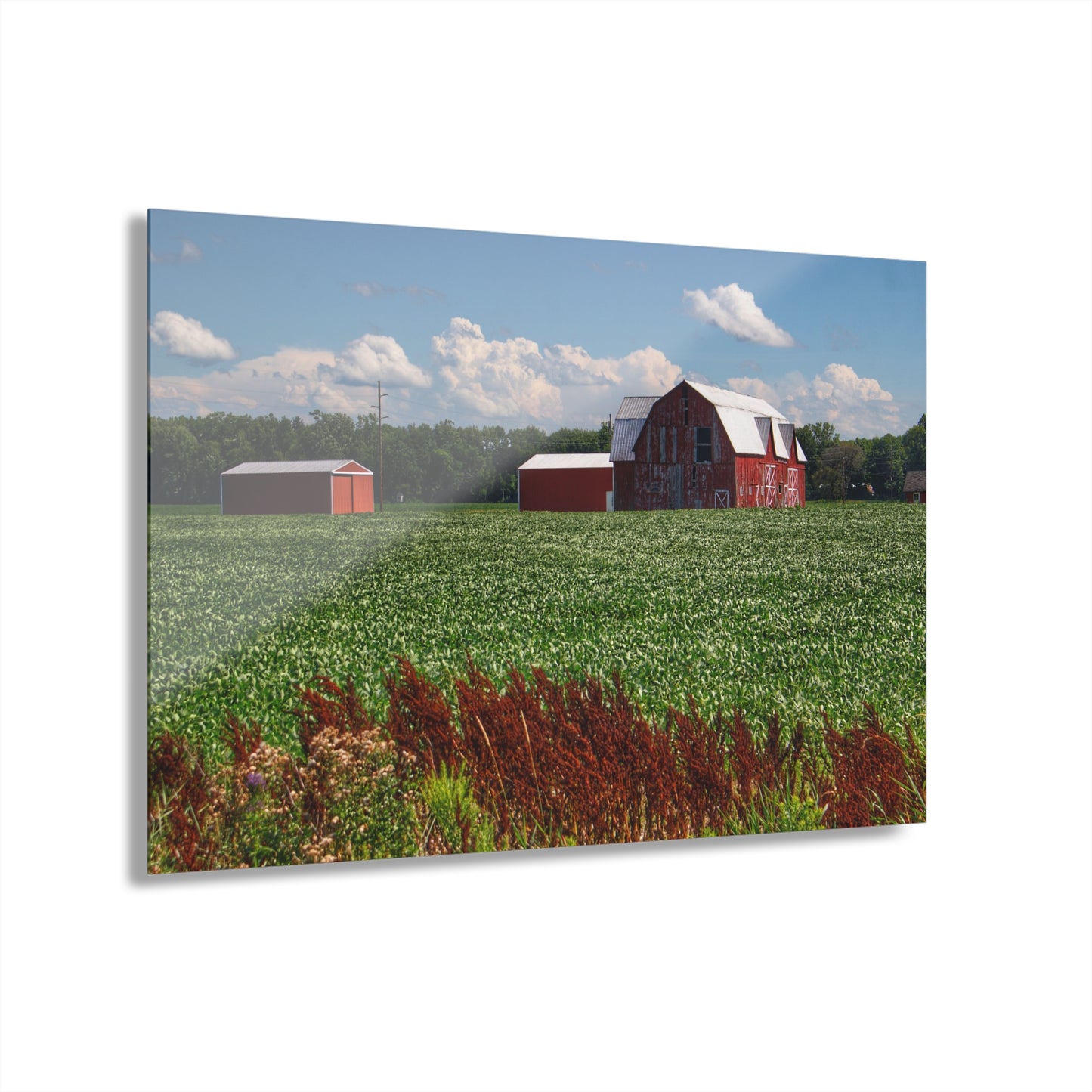 U R There Photography South Gera Road Red Rustic Farmhouse Acrylic Wall Print