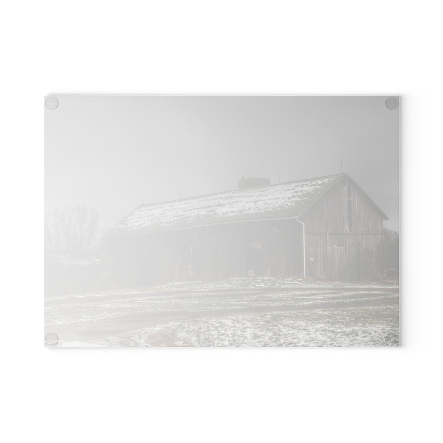 U R There Photography Wilder Road Grey in Spring Rustic Farmhouse Tempered-Glass Cutting Board