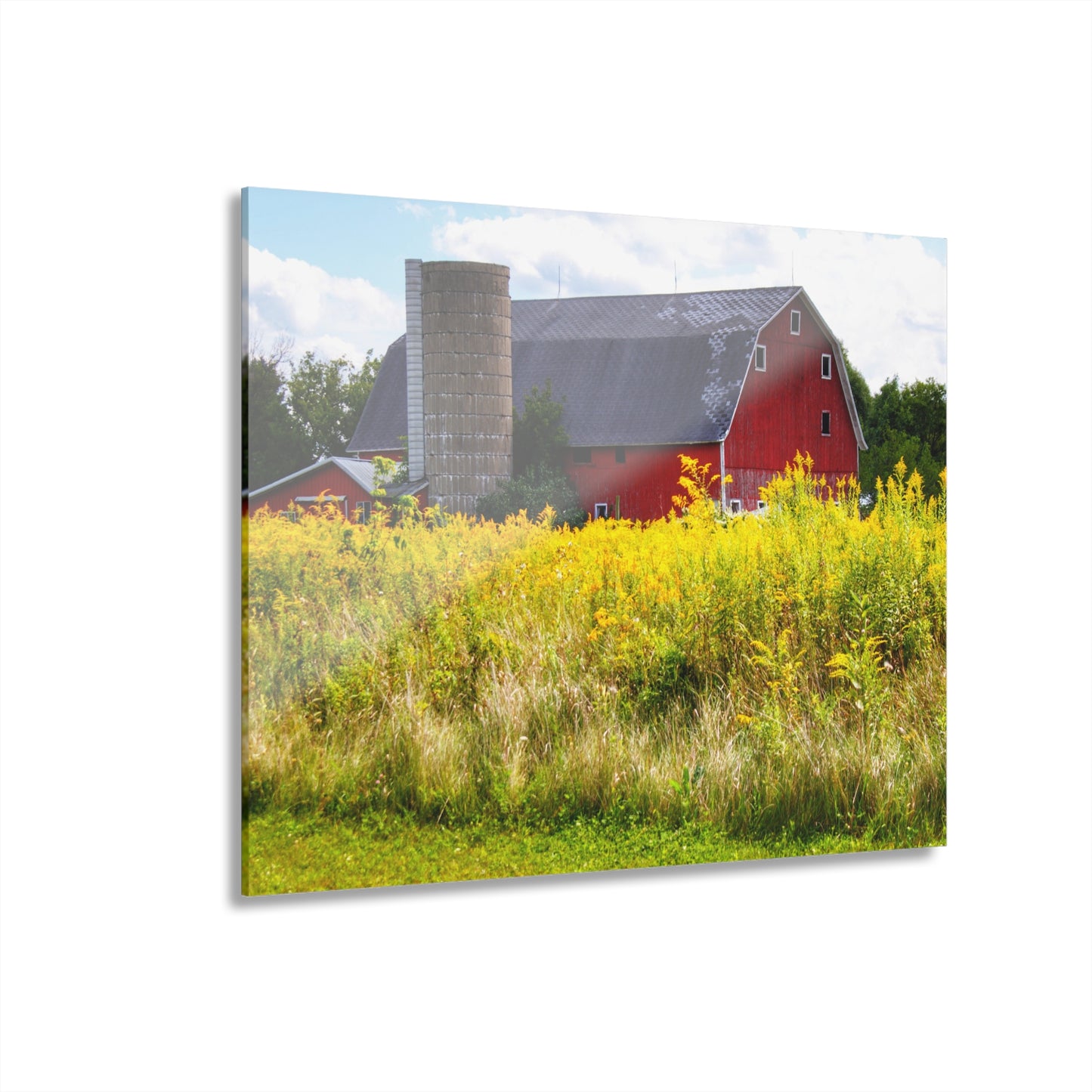 U R There Photography Starr Court Red II Rustic Farmhouse Acrylic Wall Print