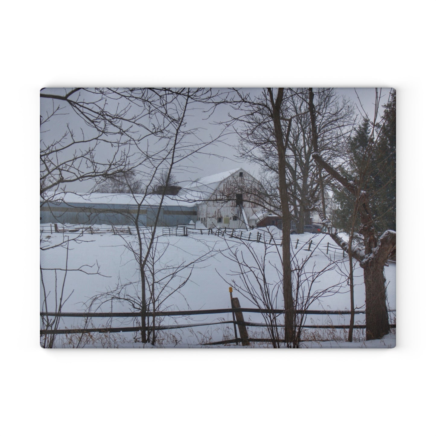 U R There Photography Oakwood Hidden White Rustic Farmhouse Tempered-Glass Cutting Board