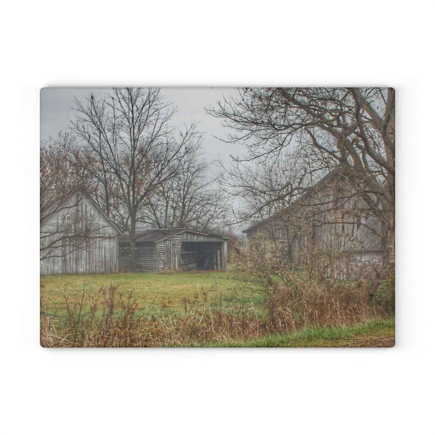 U R There Photography Bowers Road Greys IV Rustic Farmhouse Tempered-Glass Cutting Board