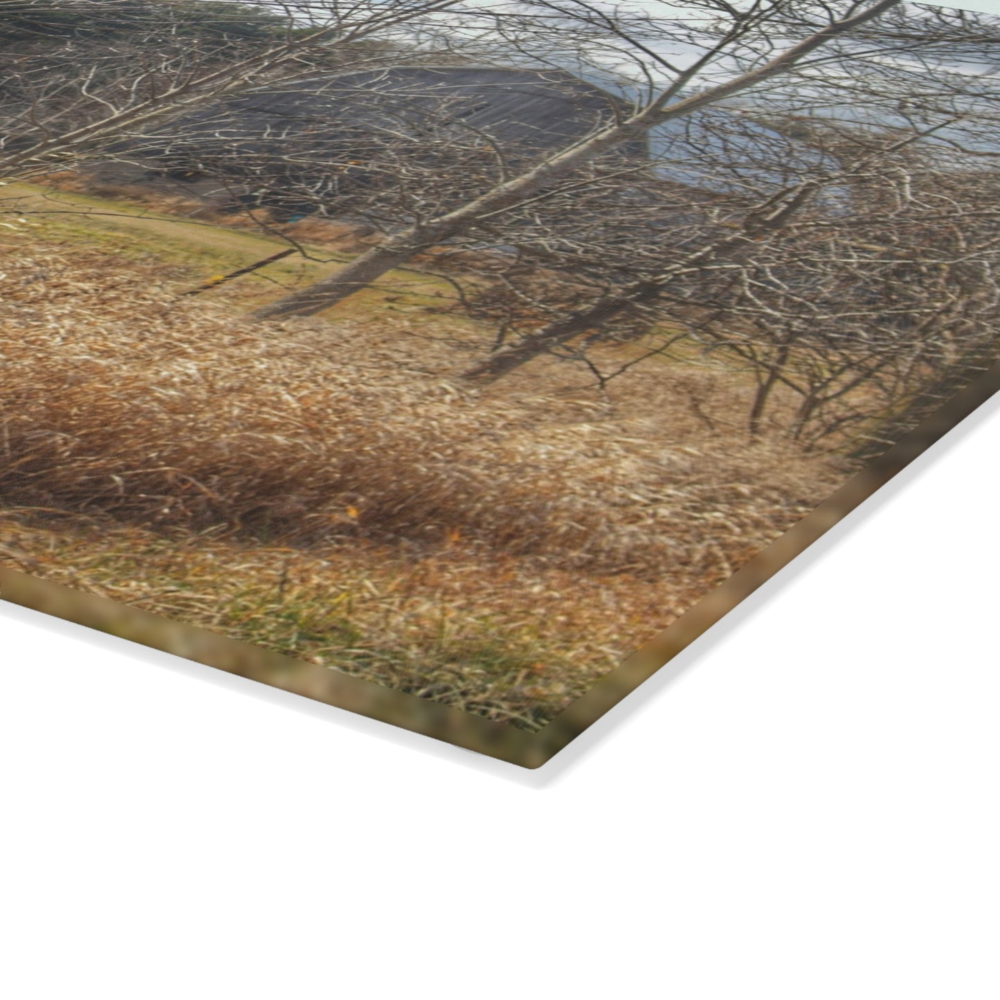U R There Photography Speaker Road Hidden Grey Rustic Farmhouse Tempered-Glass Cutting Board