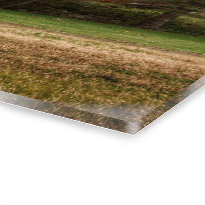 U R There Photography Laur Road Red Among the Pines II Rustic Farmhouse Acrylic Wall Print