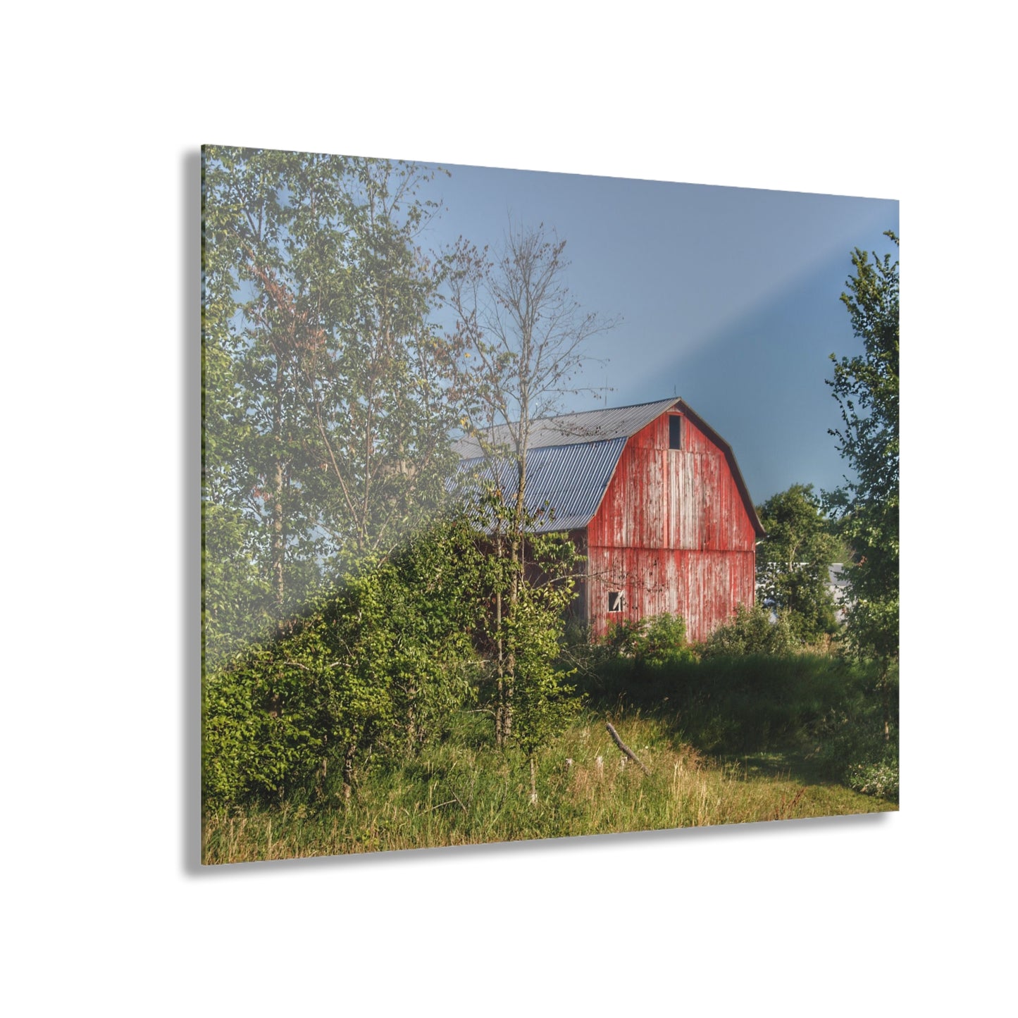 U R There Photography Columbiaville Red in Summer I Rustic Farmhouse Acrylic Wall Print