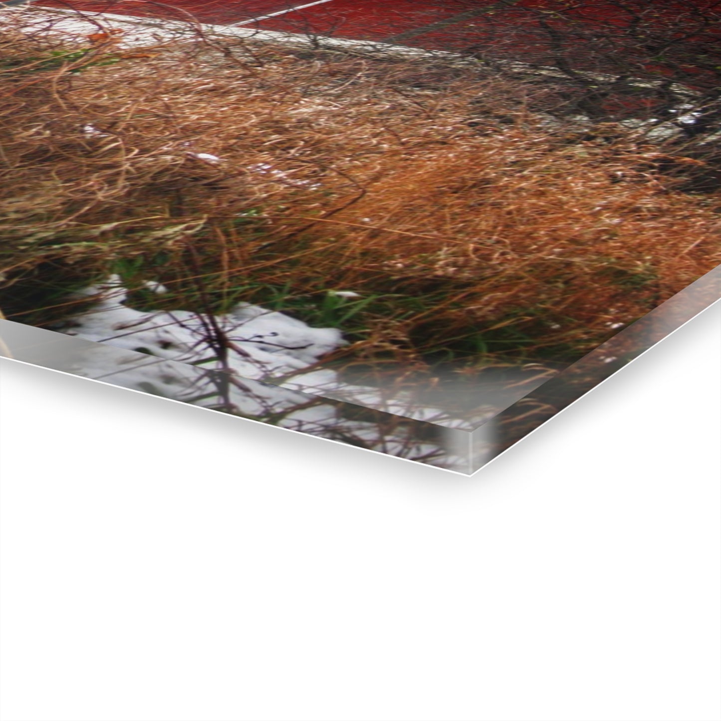 U R There Photography Noble Road Red Rustic Farmhouse Acrylic Wall Print