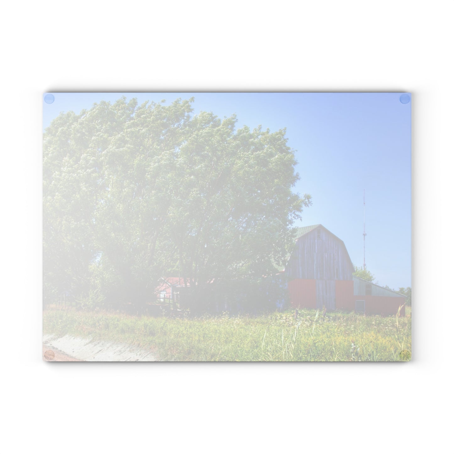 U R There Photography East Farrand Grey Rustic Farmhouse Tempered-Glass Cutting Board