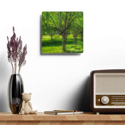 U R There Photography Spring Trees in Chartreuse Rustic Farmhouse Acrylic Analog Wall Clock