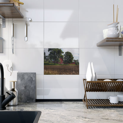 U R There Photography Catlin Road Red II Rustic Farmhouse Decorative Ceramic Tile