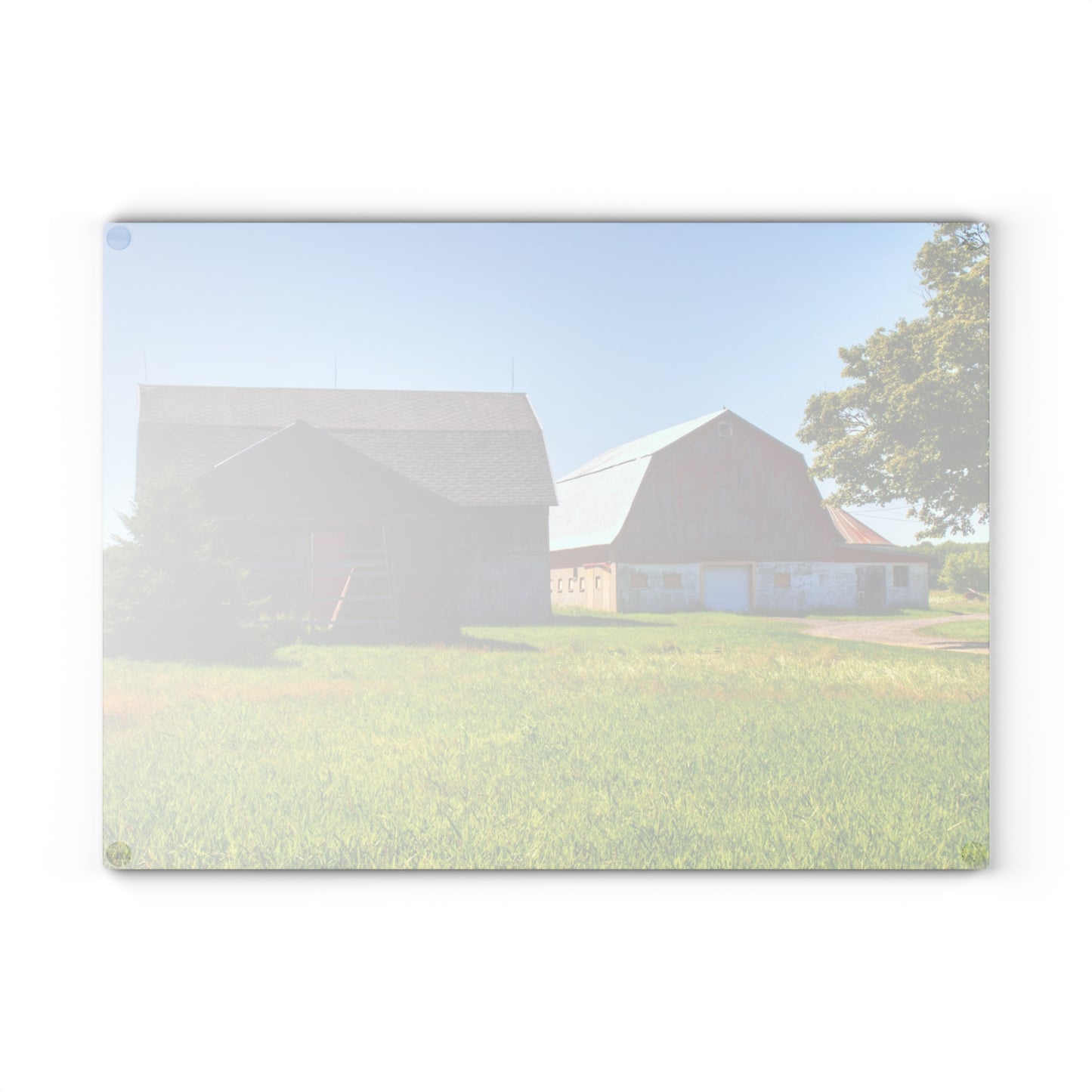 U R There Photography Atwell Road Trio Rustic Farmhouse Tempered-Glass Cutting Board