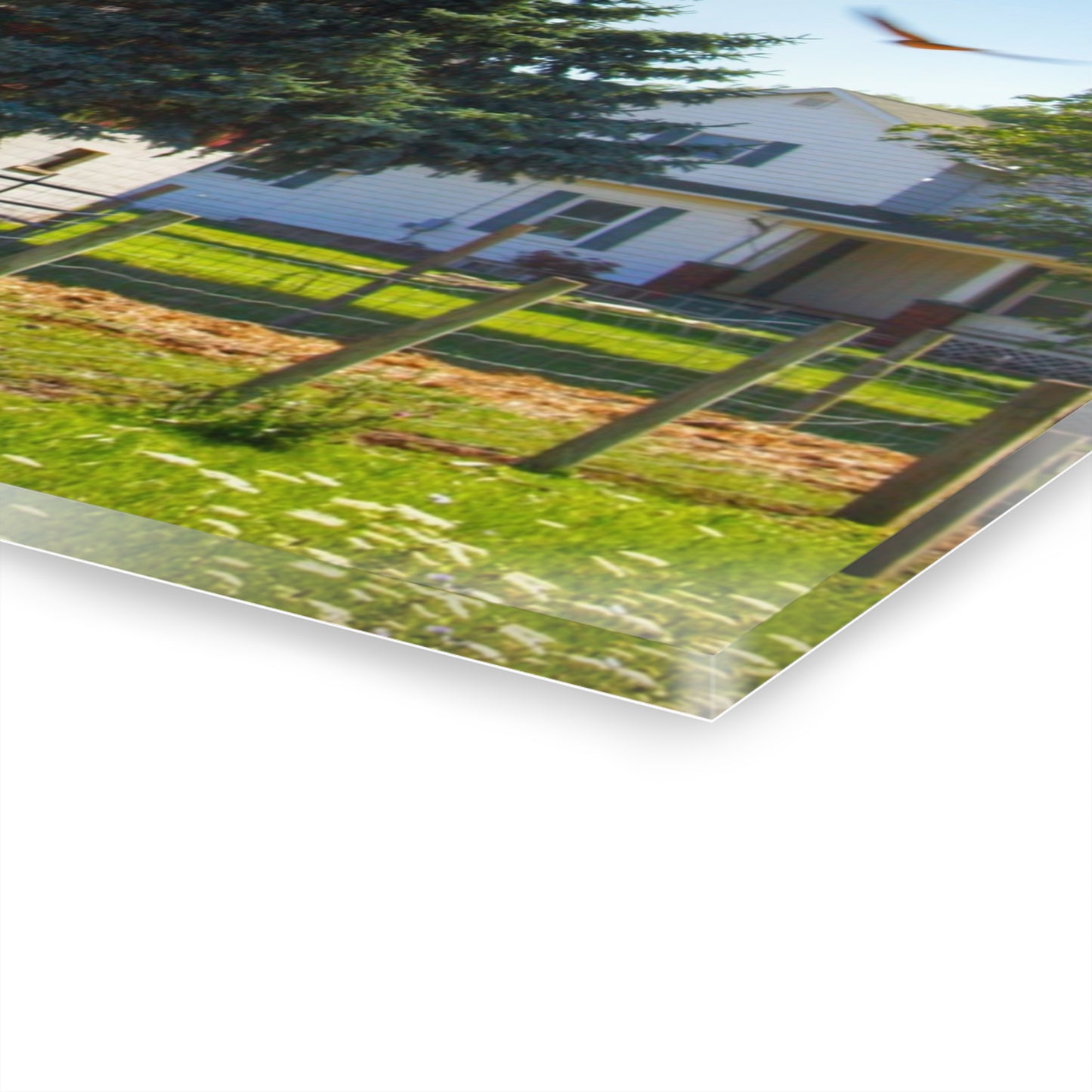 U R There Photography Hunters Creek Red Cow Barn I Rustic Farmhouse Acrylic Wall Print