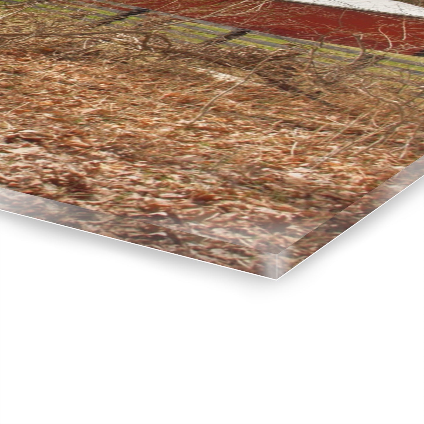 U R There Photography Hidden Hosner Reds Rustic Farmhouse Acrylic Wall Print