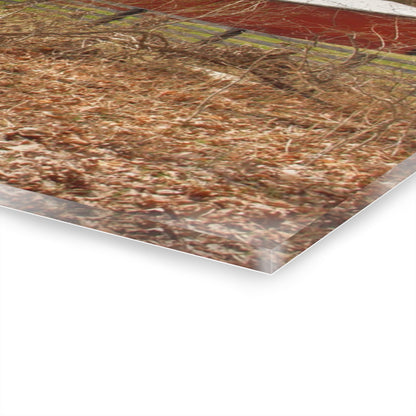 U R There Photography Hidden Hosner Reds Rustic Farmhouse Acrylic Wall Print