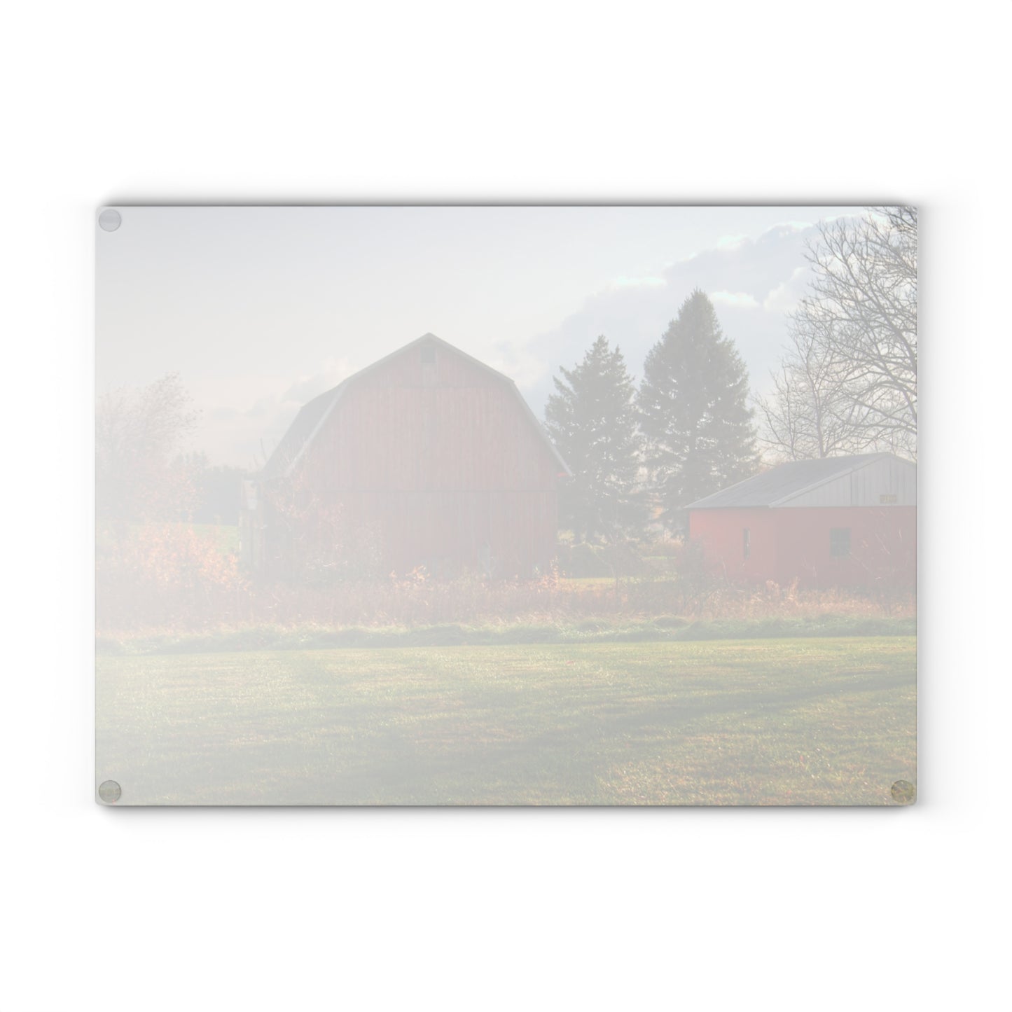 U R There Photography Invitational Drive Red Rustic Farmhouse Tempered-Glass Cutting Board