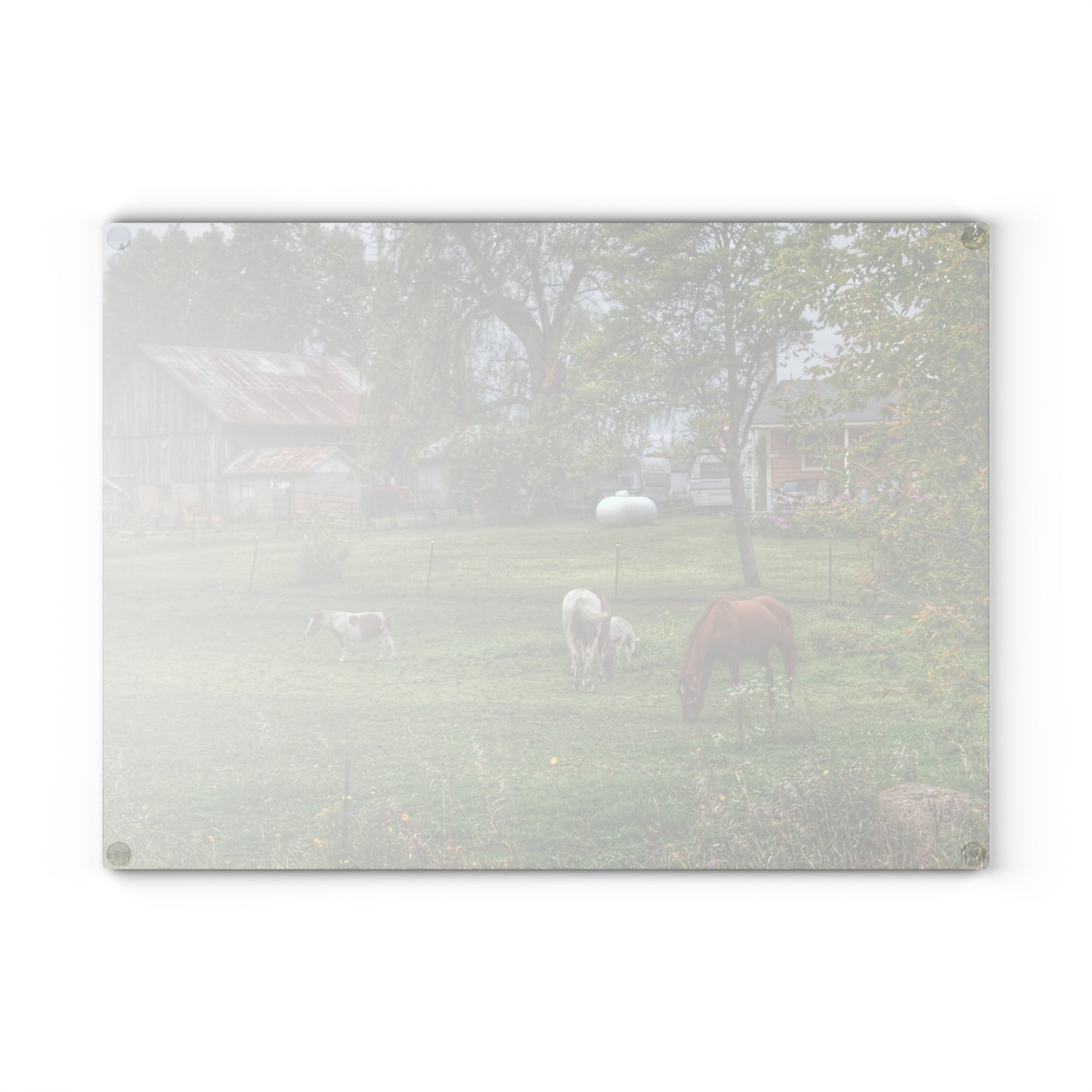 U R There Photography Front Yard Ponies Rustic Farmhouse Tempered-Glass Cutting Board