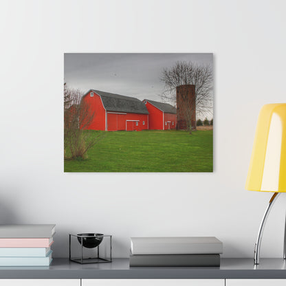 Barn Boutique Modern Farmhouse Acrylic Wall Print| Hough Road Reds III