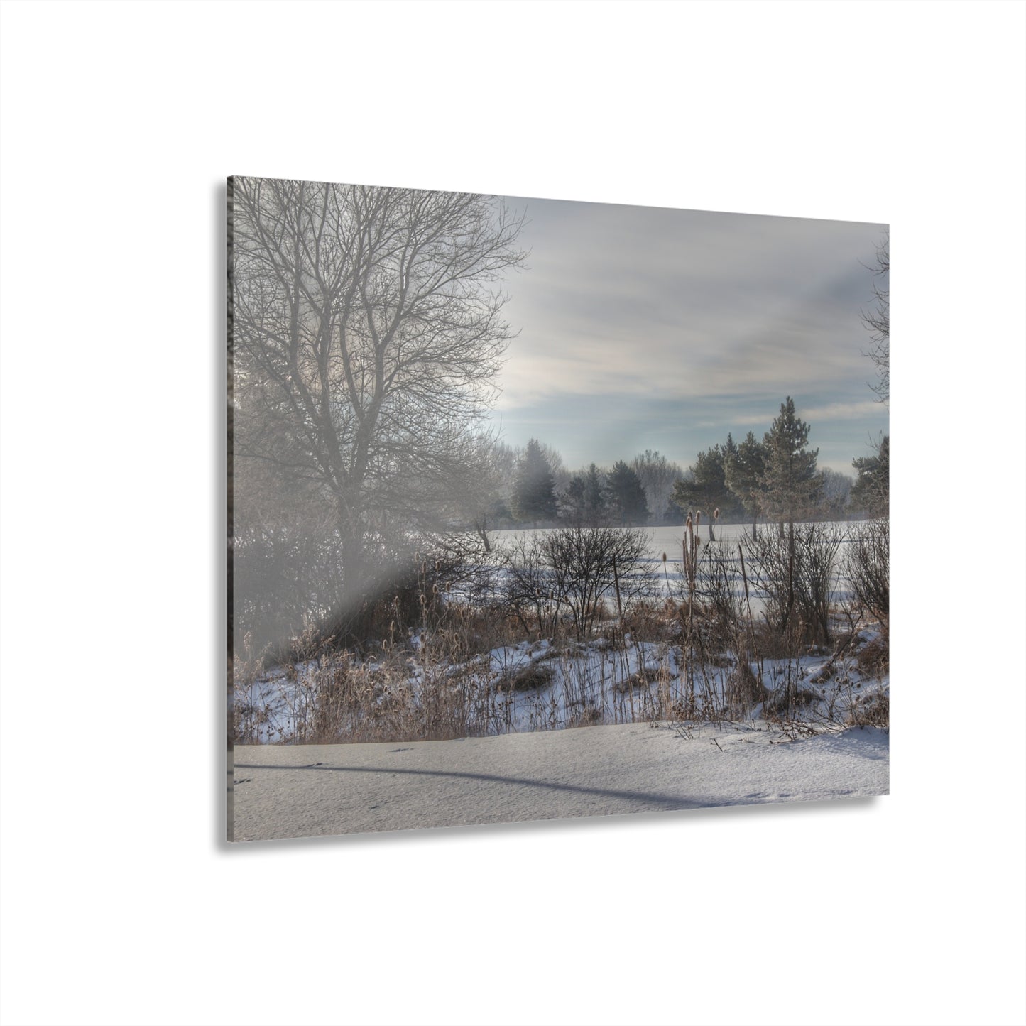 U R There Photography Winter in Mayfield Rustic Farmhouse Acrylic Wall Print