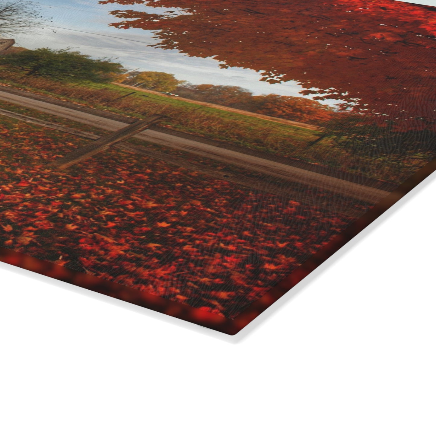 U R There Photography East Frances Road Hidden Grey II Rustic Farmhouse Tempered-Glass Cutting Board