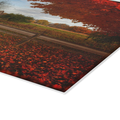 U R There Photography East Frances Road Hidden Grey II Rustic Farmhouse Tempered-Glass Cutting Board