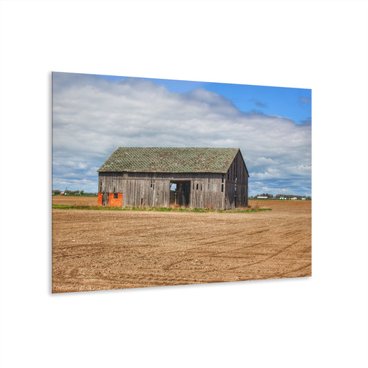 U R There Photography Rescue Road Grey Rustic Farmhouse Acrylic Wall Print