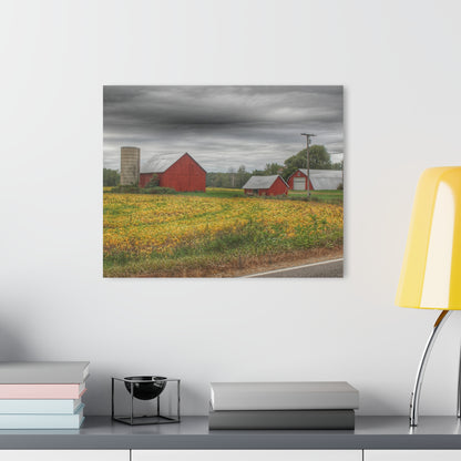 U R There Photography Kingston Road Trio III Rustic Farmhouse Acrylic Wall Print