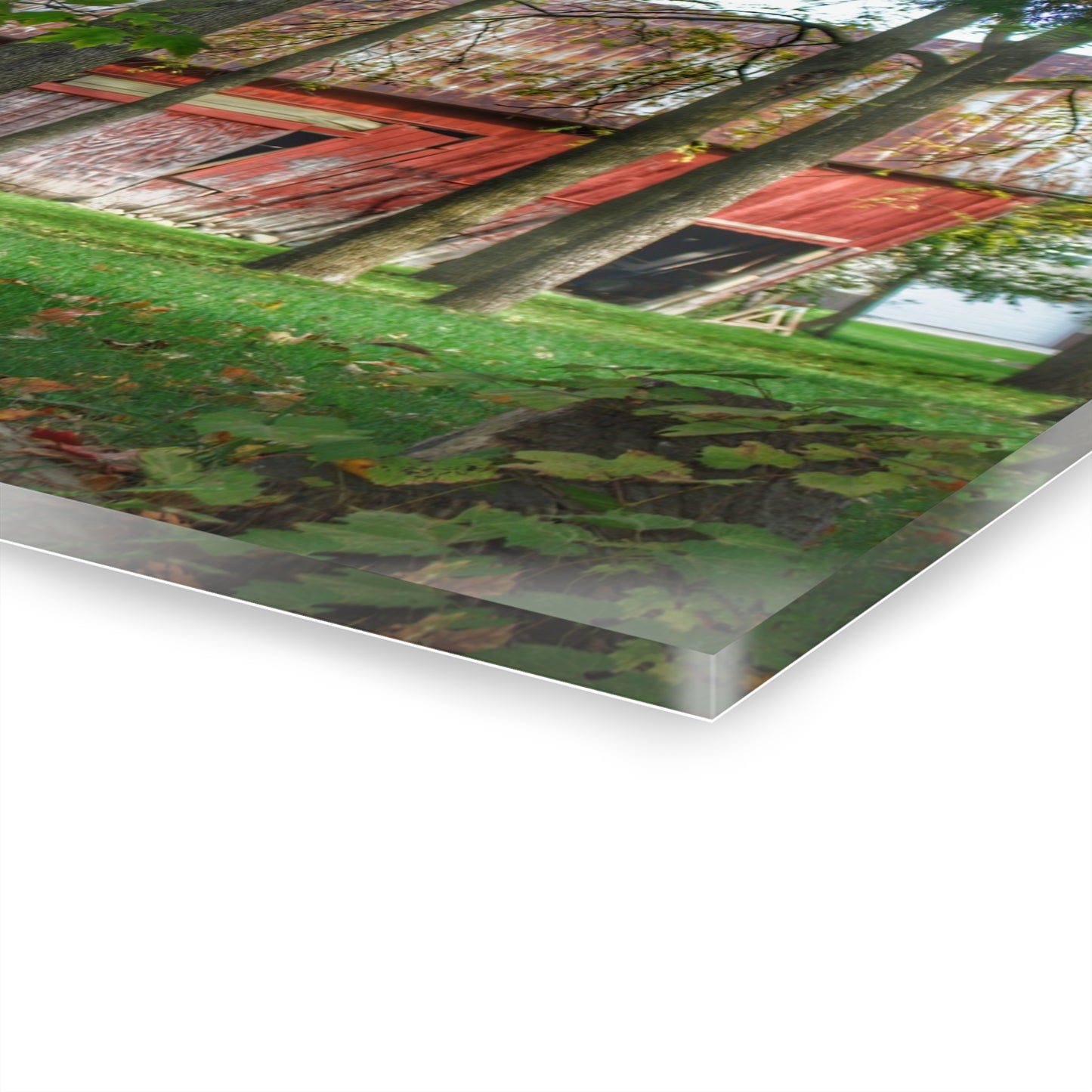 U R There Photography LeValley Falling Red Rustic Farmhouse Acrylic Wall Print