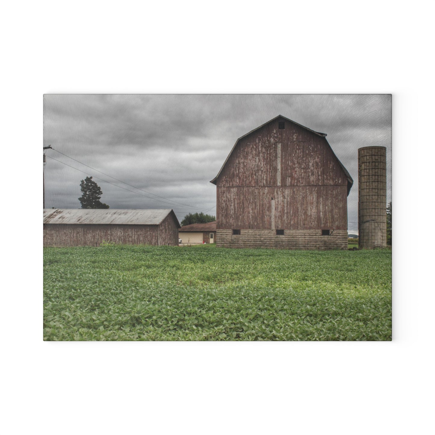 U R There Photography Van Geisen Road Grey Rustic Farmhouse Tempered-Glass Cutting Board
