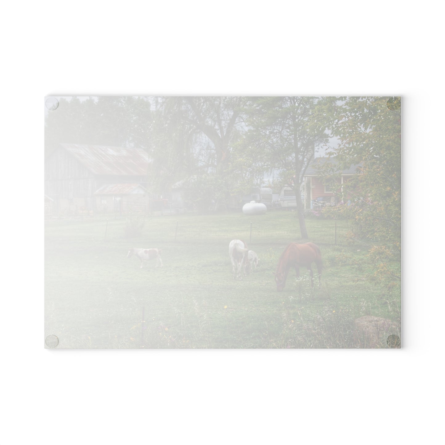U R There Photography Front Yard Ponies Rustic Farmhouse Tempered-Glass Cutting Board