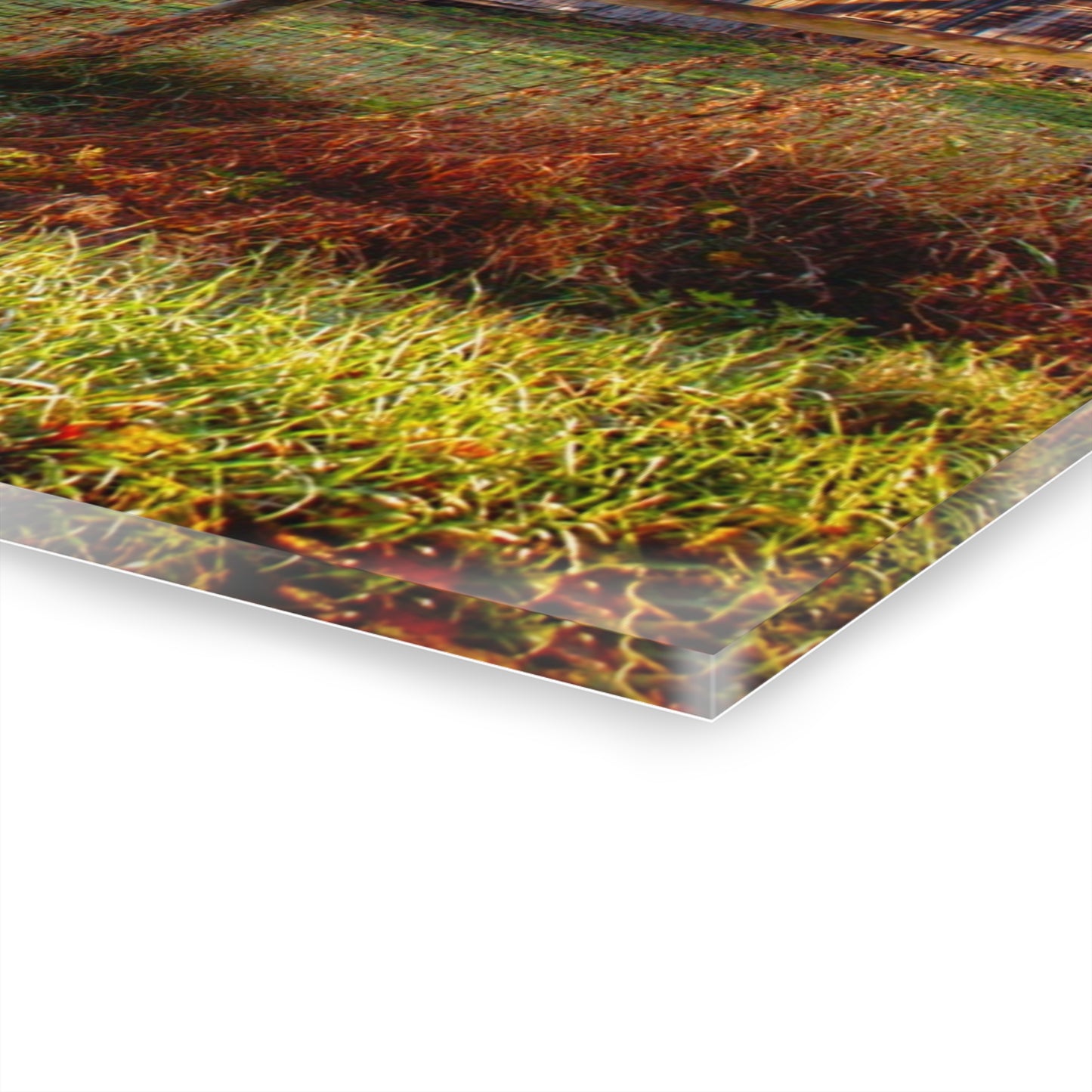 U R There Photography Hunters Creek Grey Saltbox Rustic Farmhouse Acrylic Wall Print