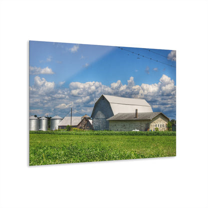 U R There Photography Lake Road Whites Rustic Farmhouse Acrylic Wall Print