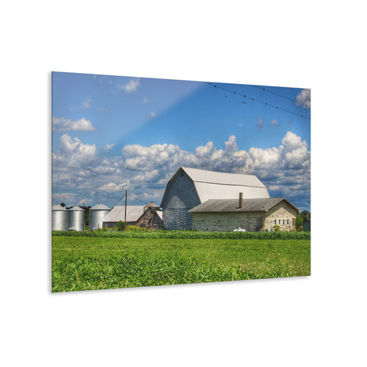 U R There Photography Lake Road Whites Rustic Farmhouse Acrylic Wall Print