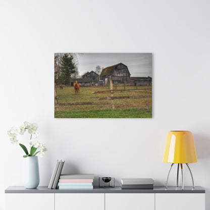 U R There Photography South Summers Road Old Grey and Caramel II Rustic Farmhouse Acrylic Wall Print
