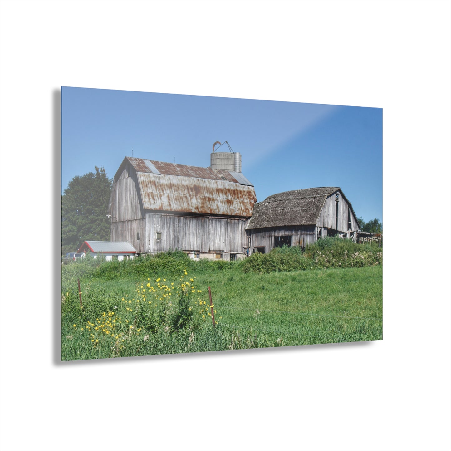 U R There Photography Rusted and Grey on Dodge Road Rustic Farmhouse Acrylic Wall Print