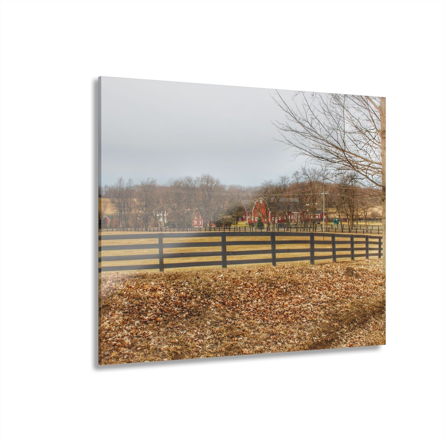 U R There Photography Barber Road Farm I Rustic Farmhouse Acrylic Wall Print