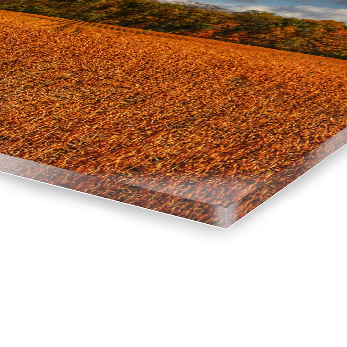 U R There Photography Fall on Murphy Lake I Rustic Farmhouse Acrylic Wall Print
