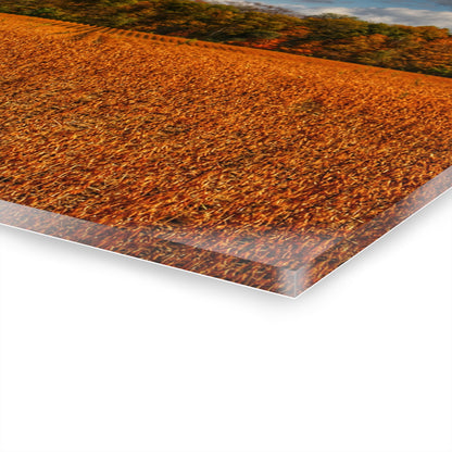 U R There Photography Fall on Murphy Lake I Rustic Farmhouse Acrylic Wall Print