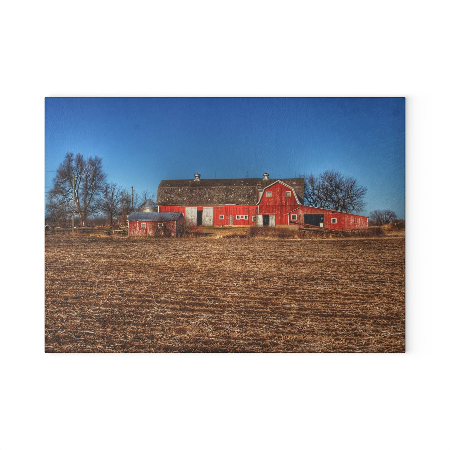 U R There Photography Rochester Road Red II Rustic Farmhouse Tempered-Glass Cutting Board
