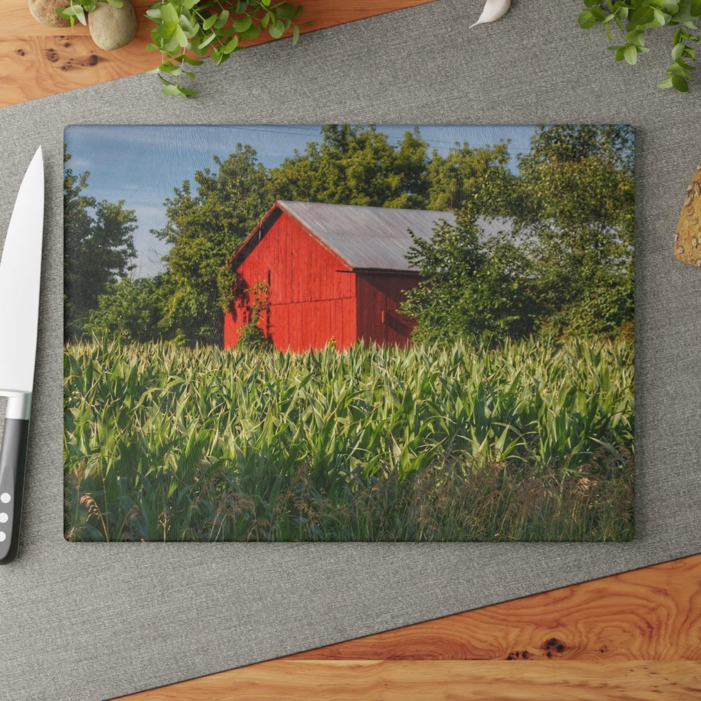 U R There Photography Willard Road Red III Rustic Farmhouse Tempered-Glass Cutting Board