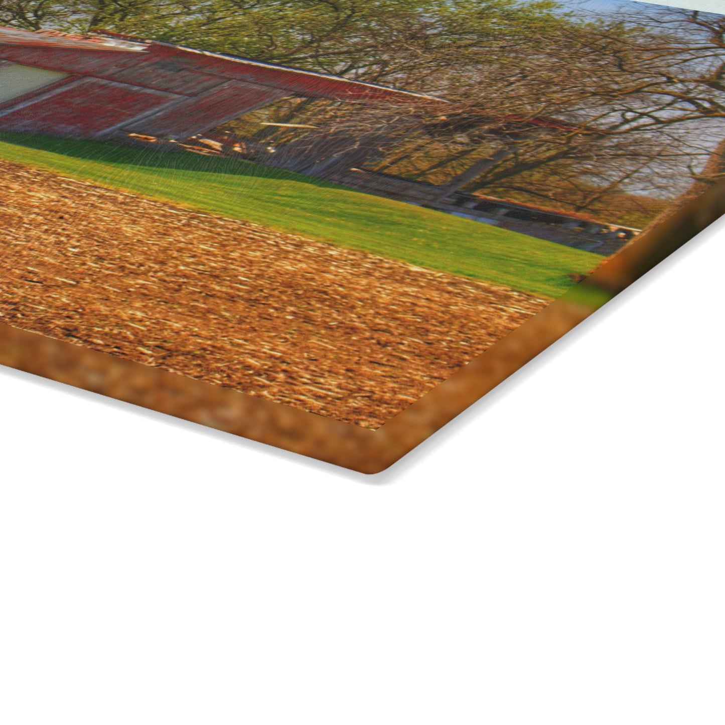 U R There Photography Sohn Roadside Relic Rustic Farmhouse Tempered-Glass Cutting Board