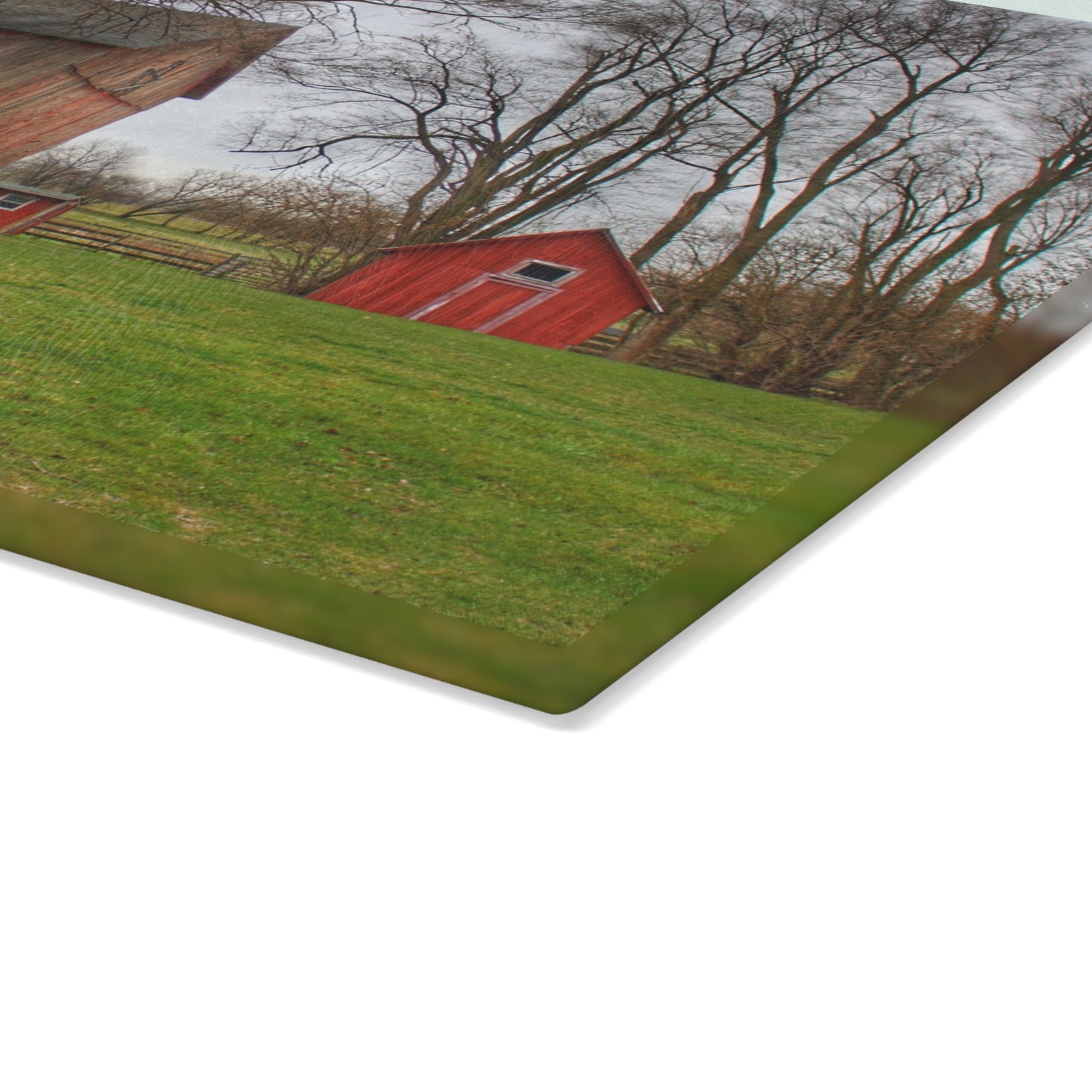 U R There Photography Lake George Red II Rustic Farmhouse Tempered-Glass Cutting Board