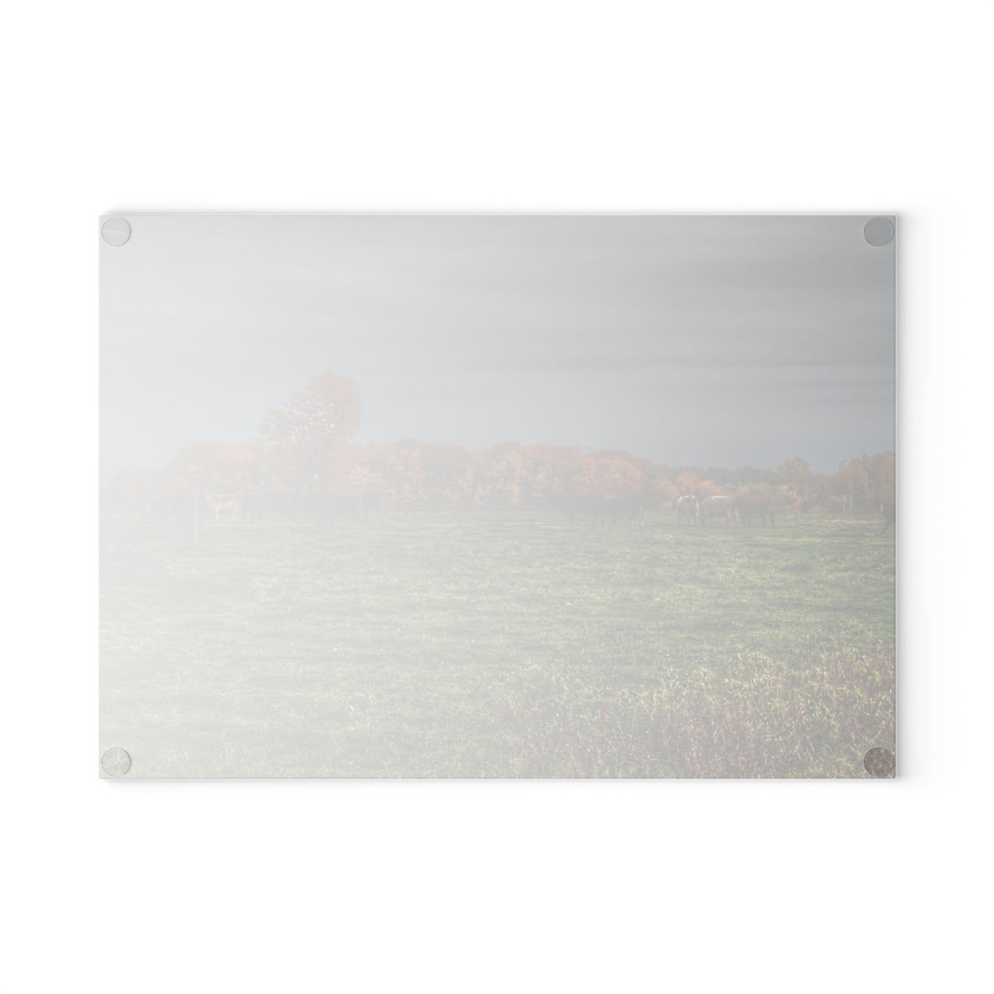 U R There Photography Oak Cows Rustic Farmhouse Tempered-Glass Cutting Board 8"x 11"