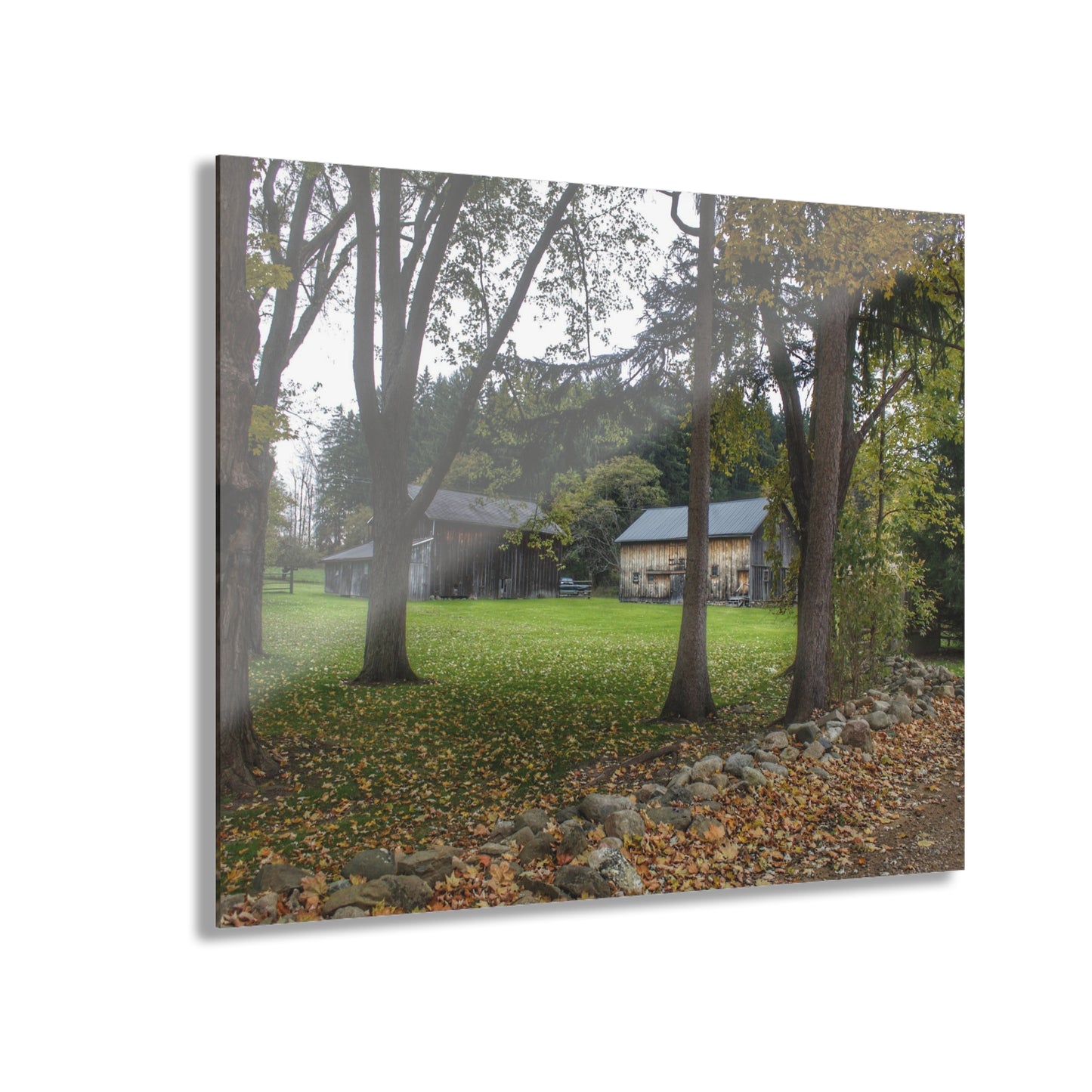 U R There Photography Wilder Road Greys I Rustic Farmhouse Acrylic Wall Print